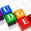Budget Assessment